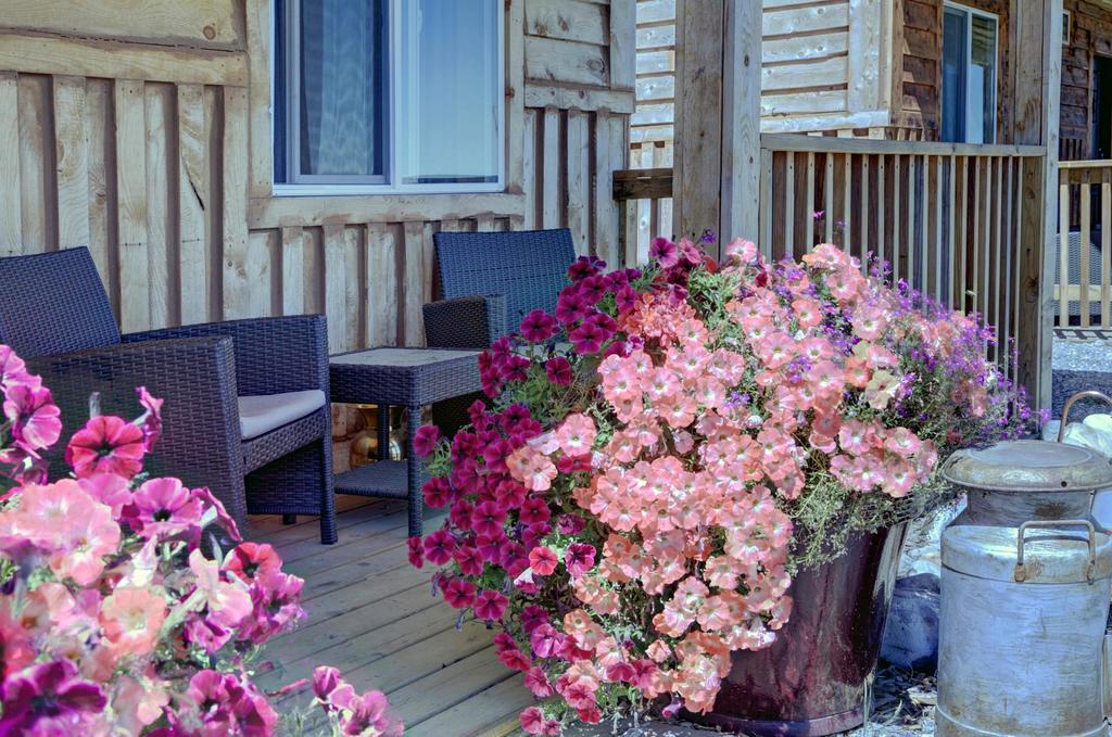 Hébergement de vacances Mountain Haven *